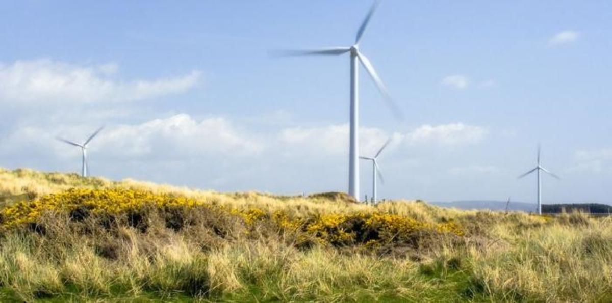 5767-windmills-in-a-field-pv.jpeg (Full)