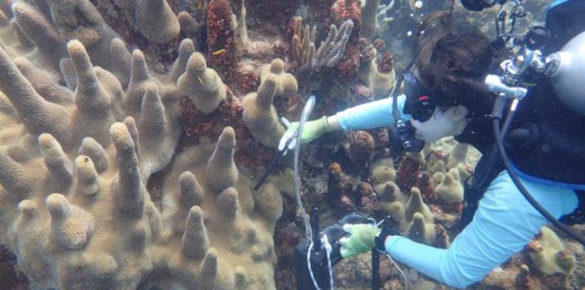 Grabb1-768x576.jpg (Full)