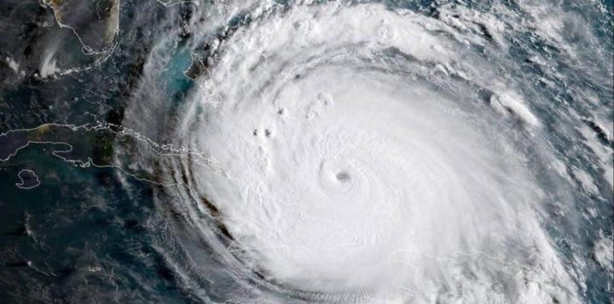 Irma_color.jpg (Full)