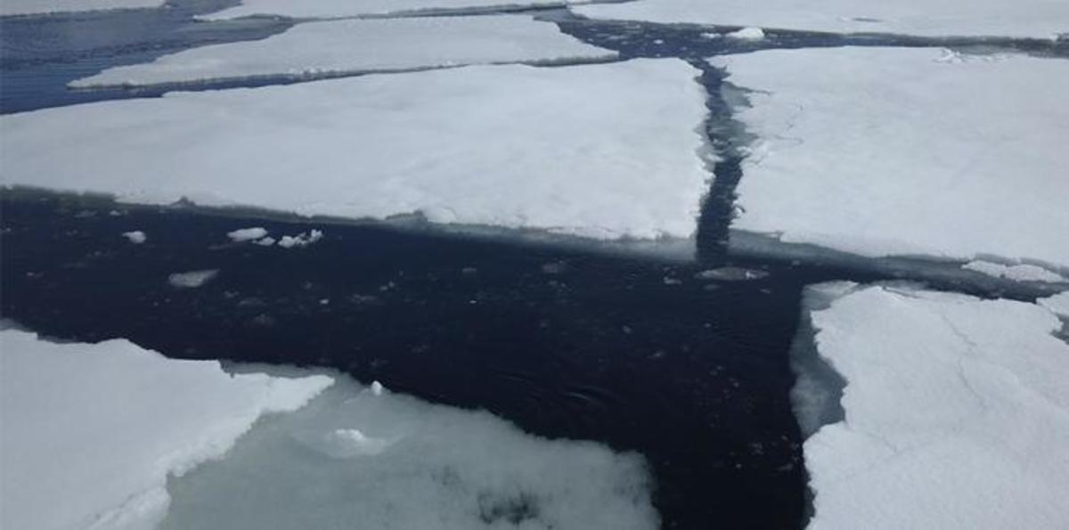 MIT-Ice-Shade-01_0.jpg (Full)