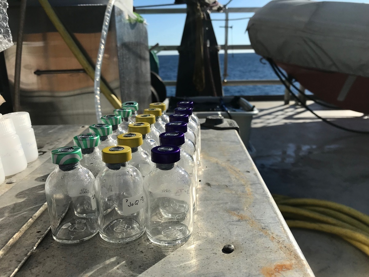 Ocean_to_Incubation.jpg (Full)