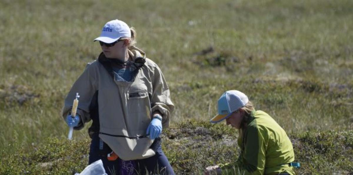 Radiation.JPG (Full)