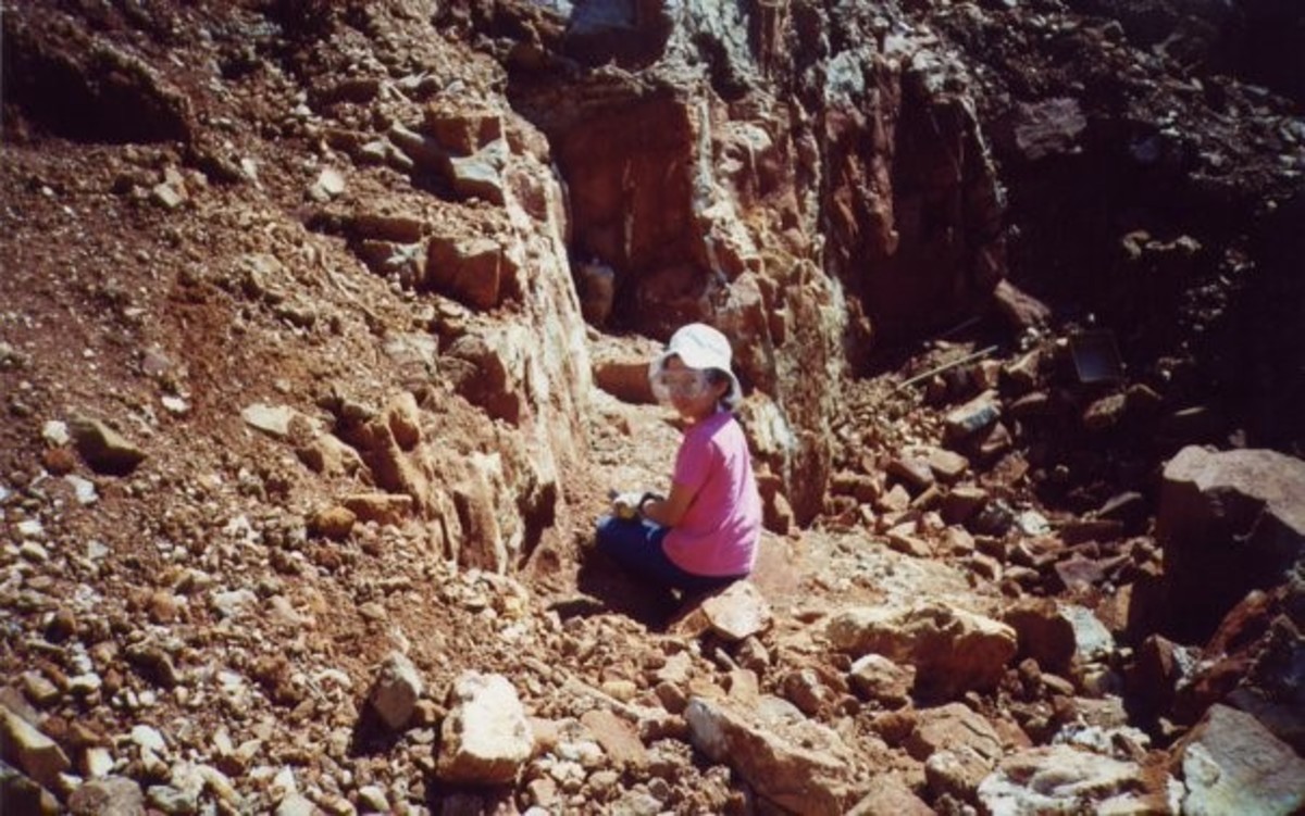 farfan-1.jpeg (Full)