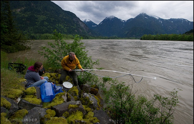  Britta Voss at work on the Fraser River. Photo: Chris Linder 