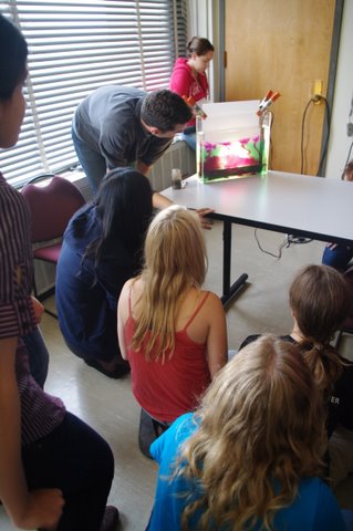 TA's John Taylor and Allison Wing demonstrate convection